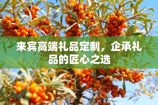来宾高端礼品定制，企承礼品的匠心之选
