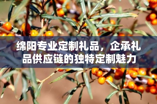 绵阳专业定制礼品，企承礼品供应链的独特定制魅力