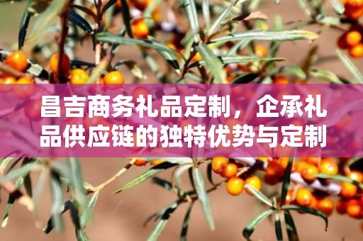 昌吉商务礼品定制，企承礼品供应链的独特优势与定制体验