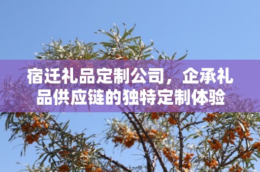 宿迁礼品定制公司，企承礼品供应链的独特定制体验