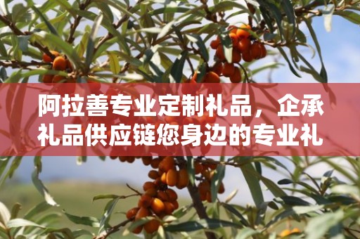 阿拉善专业定制礼品，企承礼品供应链您身边的专业礼品定制公司