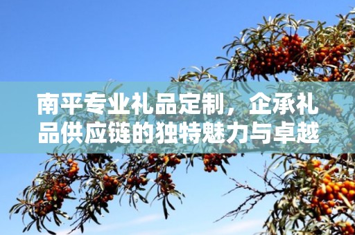 南平专业礼品定制，企承礼品供应链的独特魅力与卓越服务