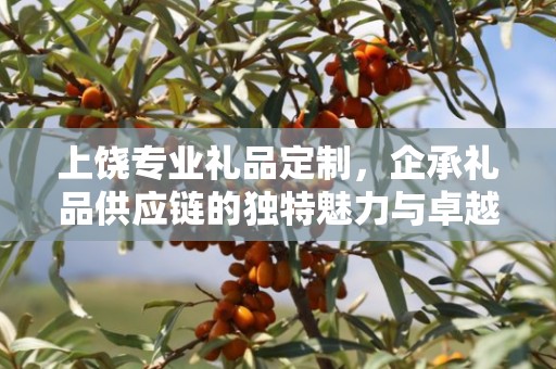 上饶专业礼品定制，企承礼品供应链的独特魅力与卓越服务