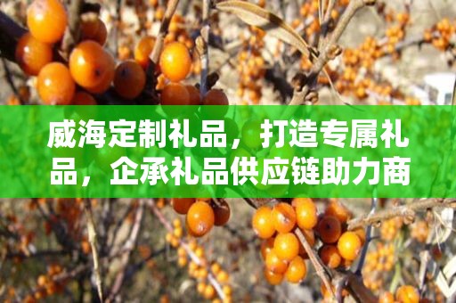 威海定制礼品，打造专属礼品，企承礼品供应链助力商务推广