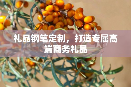 礼品钢笔定制，打造专属高端商务礼品