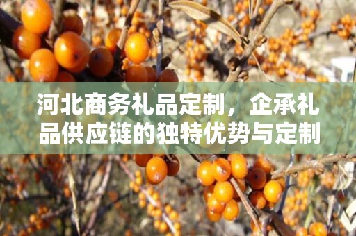 河北商务礼品定制，企承礼品供应链的独特优势与定制之旅